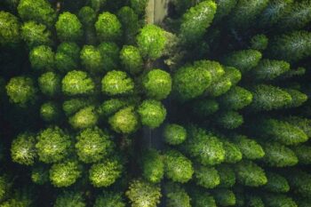 What is Greentech? 7 startups to Watch in 2022