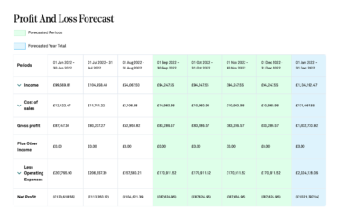 Profit and Loss Forecast